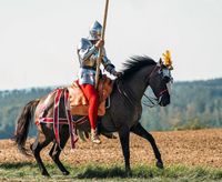 Stefan mit Lucky in R&uuml;stung